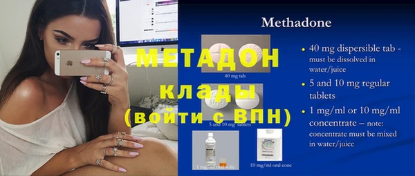 гашик Дубна