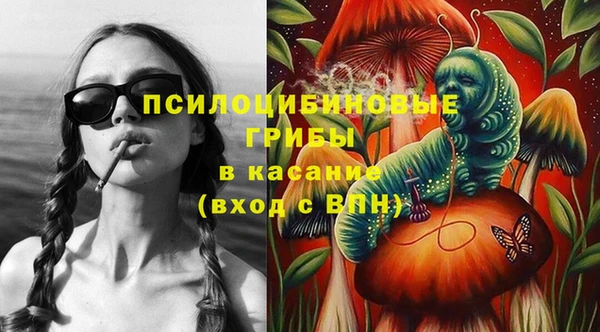 трава Железноводск