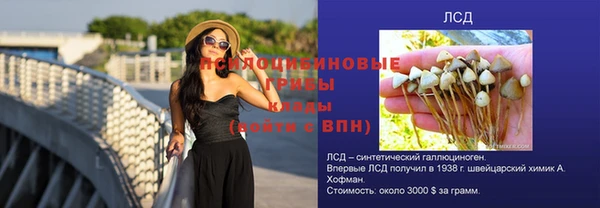 трава Железноводск