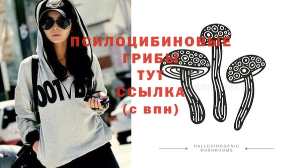 ПСИЛОЦИБИНОВЫЕ ГРИБЫ Железногорск-Илимский