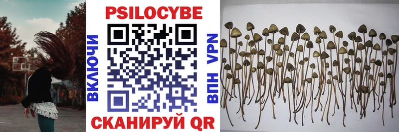 Псилоцибиновые грибы MAGIC MUSHROOMS  наркошоп  Канск 