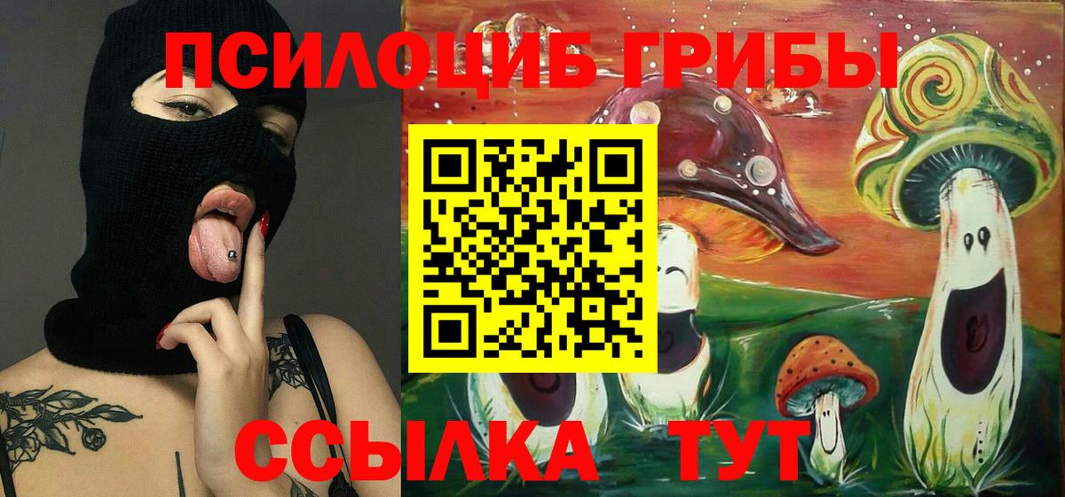 Галлюциногенные грибы Psilocybe  что такое наркотик  Канск  Вход с VPN 