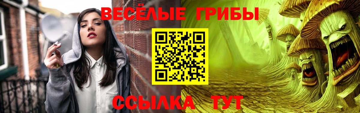 Галлюциногенные грибы MAGIC MUSHROOMS Канск